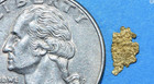 Pure Gold Nugget Alaskan Yukon Bc Natural Small Rock Authentic Raw Fine 22k  1g