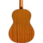 Cordoba Protege By Cordoba C1m Full Size Nylon String Guitar Natural Matte