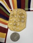 Artificial Faux  Fake Food Snack Appetizer Cracker Deli Photo Display Prop Ffb