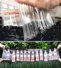 6pcs-indoor Large Insect roach Glue Traps Super Sticky Not For Mouse Mice Or Rat