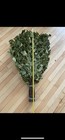Set Of 10 Birch Sauna Whisk Russian Banya Venik                            Spa 2026