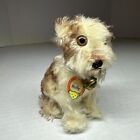 Antique Vintage  Steiff German  molly  Dog 1950s  Button  Tag  Bell  Ribbon 