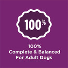 Purina  Complete Dry Dog Food For Adult Dogs High Protein  Lamb  44 Lb Bag
