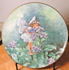 Heinrich Flower Fairies Plate Heliotrope Fairy Cicely Mary Barker Nib