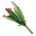 Mini Artificial Cactus Plants Unpotted - 2 Pcs Small Fake Cactus Decor For Of   