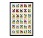 Card Sleeve   Toploader Card Frame Display Holds  30  Sleeves Or Toploaders