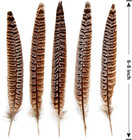 24pcs Female Ringneck Pheasant Tails Feathers Natural Feathers 6-8inch 15-20cm F