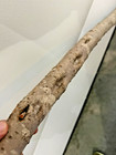 55  Diamond Willow  staff      Stunner  You Carve  Walking Stick  Cane  Colorful