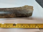 Vintage Stone And Bone War  Axe Hammer   14 Inches    Native American Indian