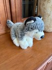 Fao Schwarz Husky Puppy Dog Plush 7   Wolf Grey Stuffed Animal