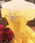 Belle Princess Quinceanera Dresses Off The Shoulder Prom Cosplay Party Gown