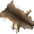 Hair On Deerskin Hide Rug - Tanned Deer Hide With Hair - Grade A To C 