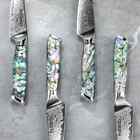 Seido Knives Awabi 4-pcs Straight Edge Steak Knives Japanese Steel Knife Set
