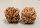 Premium Pair Wenwan Hetao -  30-40mm  Lion   s Head Collectible Walnuts - Stres