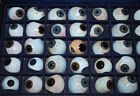 Original Box 50 Antique German Human Glass Eyes Prosthesis  0802