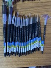 41 Princeton Neptune   Elites   Mix  Watercolor Paint Brushes