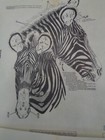 Vintage Artex   Tri-chem Liquid Paint Embroidery Picture - Zebra