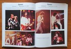 Queen Freddie Mercury 8 1 2  X 11  Original Color Concert Photo By Mike Petrello