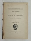 1890 Antique Cherokee Ojibwa Medicine Mid  wiwin Ethnology Plates Formulas