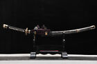 Japanese Authentic Tachi Sharp Katana Sword Clay Tempered T10 Steel Rayskin Saya