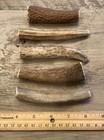 3-pack Small Elk deer Antler Premium Dog Chews   oregon Antler Works  