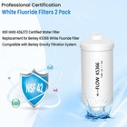 Fluoride And Arsenic Filter Replacement For Pf-2   Fluoride Filters K5366