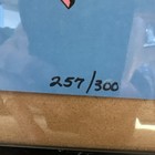 Weezer    limited    257 300 Poster Sept 10 2024 Boston