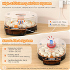Automatic Incubators For Hatching Eggs  24 Egg Incubator upgrade Digital Incubat