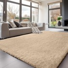 Modern Shaggy Rugs Non Slip Fluffy Carpets Floor Mat For Living Room Bedroom