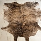 Premium Exotic Brindle Colombian Large Natural Hair On Cowhide Rug skin  8ft 8ft