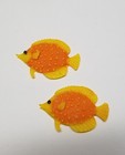 Coe 96 Fusible Glass Sea Life   Ocean Creatures For Your Fused Glass Projects