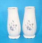 Johann Haviland Blue Garland Salt   Pepper Shake Set Bavaria Germany