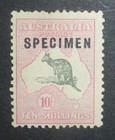 Kangaroo Shaved P Specimen 10 - Pink grey Small Multiple Wmk Cv 1 750