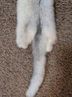 Rare Sapphire Cross Mink Fresh Tanned Hide Super Soft Leather Craft Pelt Fur 