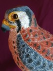 Vintage Handcarved Hawk Signed 2004   american Kestral  By Roger A  Wilson