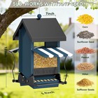 Squirrel Proof Wild Bird Feeder For Outdoors  5 Lb Capacity