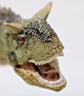 2019 Papo  Carnotaurus 55032 Camouflage Green Approx  7 x3  Articulated Jaw