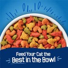 Purina Friskies Dry Cat Food Seafood Sensations With Salmon  Tuna  And Shrimp Fl