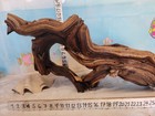  Manzanita Driftwood Premium Aquarium Wood Aquascape Decor Reptiles Bird Perch