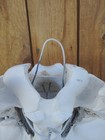 Hs1400 - 5  0  Steer Skull Art Polished Long Horns Mounted Cow Bull Longhorns