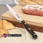 4 Inch Chef Knife Kitchen Knife German Steel Cook s Knife With Ergonomic Handle