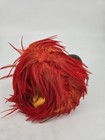 Hawaiian Uli Uli Polynesian Red Yellow  Feathers Center La amiu Gourd Instrument