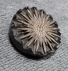 Vintage Antique Carved Bakelite Button Brass Metal Starburst Flower Tested