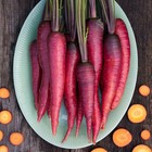 Purple Dragon Carrot Seeds   Heirloom   Non-gmo   Free Shipping   1086