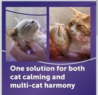 Feliway Optimum Cat Calming Pheromone Plug-in Diffuser Refills Pack Of 4