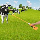 55cm Electric Shocker Voltage Animal Livestock Rechargeable Pig Prodder 10000v