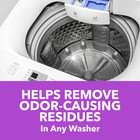 Washing Machine Cleaner With Odor Blasters  4 Count