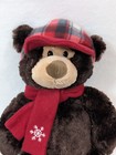Hugfun International Teddy Bear St Judes Children Hospital 17  Plush 2015 Travis