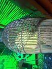 New Rattan Fish Trap Lamp  W  Real Puffer Fish C c Led Smokin Tikis Oceanic