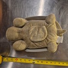 Cloud B Light Up Twilight Turtle Stars Night Light Stars Amazon  44